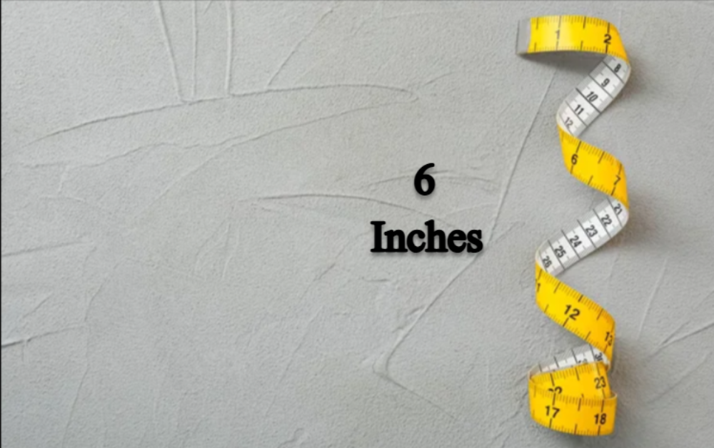 6 Inches