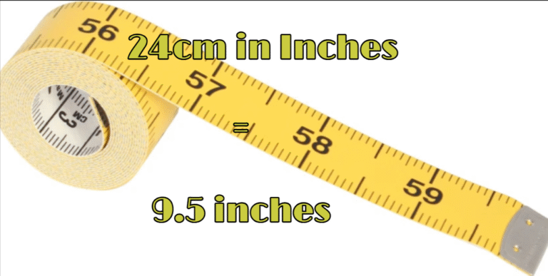 24cm in Inches