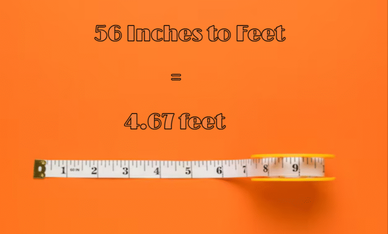 56 Inches to Feet