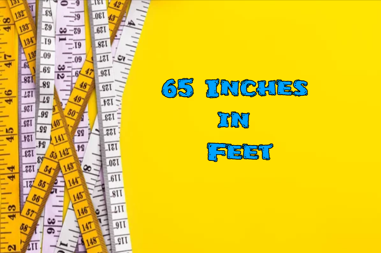 65 Inches in Feet